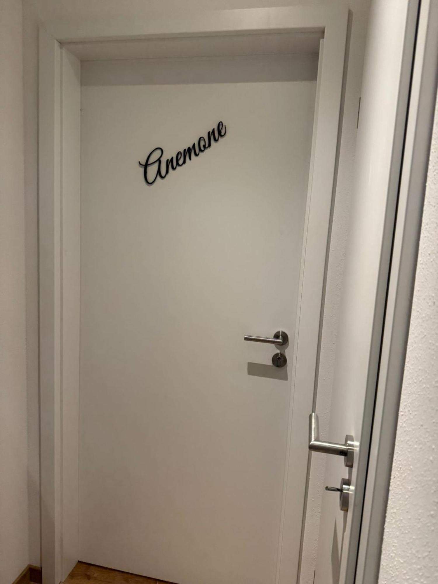 דירות אינזל Haus Schwalbennest מראה חיצוני תמונה